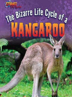 cover image of The Bizarre Life Cycle of a Kangaroo